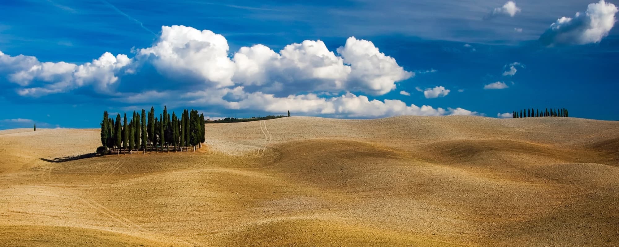 Colline toscane con i cipressi
