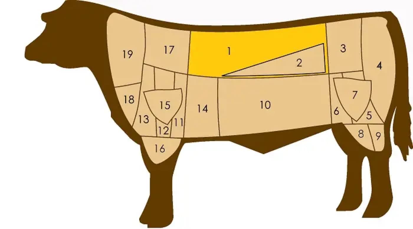 Schema dei tagli bovini: la lombata è evidenziata in giallo